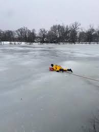 Golden Retriever Named Lucky Rescued from Icy Pond in New York