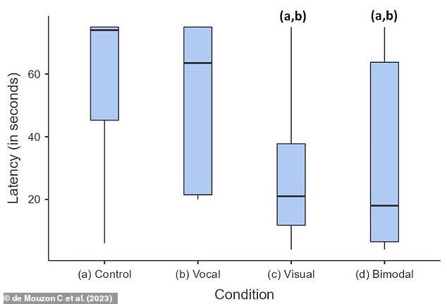 Cats responded most quickly to human strangers when they offered vocal and visual cues together, like calling their name while reaching out their hand. Pictured: Time taken for cats to approach the experimenter according to each testing condition