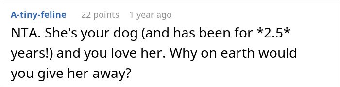 “She Never Barks And Is The Best Hiking Buddy Ever”: Guy Has Had His Friend’s Dog For 2.5 Years When Friend Asks Him To Ship Her Back, Guy Refuses