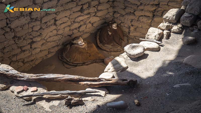 the-spooky-peruvian-mummies-with-hair-video